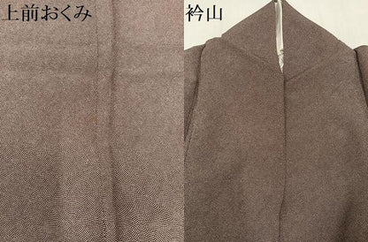 平和屋着物●江戸小紋　鮫小紋柄　正絹　逸品　AABL7454ph