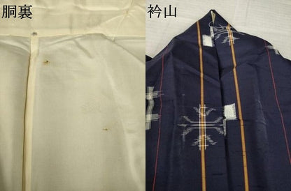 平和屋着物●本場琉球絣　紬　正絹　逸品　AABL7521ck