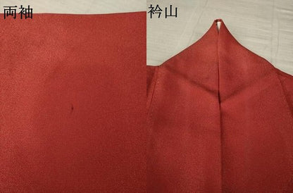 平和屋着物●中国三大刺繍　汕頭刺繍　スワトウ刺繍　総刺繍　振袖　花蝶丸文　暈し染め　銀通し地　正絹　逸品　AABL7570ck