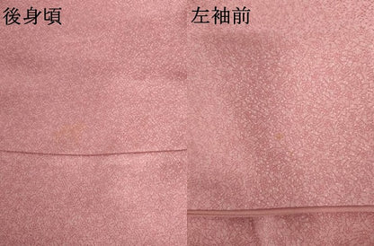 平和屋着物●江戸小紋　吉祥文　正絹　逸品　AABL7649cs