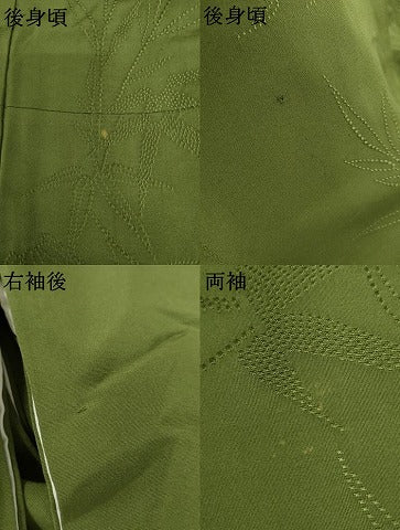 平和屋着物●上質な色無地　枝葉文　老竹色　正絹　逸品　AABL7737cs