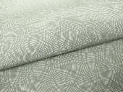 平和屋着物●江戸小紋　極小鮫小紋柄　ますいわ屋扱い　正絹　逸品　AABL7739cs
