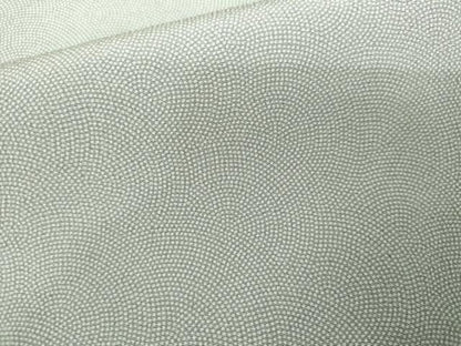 平和屋着物●江戸小紋　極小鮫小紋柄　ますいわ屋扱い　正絹　逸品　AABL7739cs