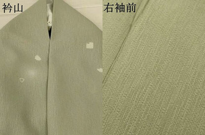 平和屋着物＊夏物　小紋　紋紗　箔散らし文様　蛍暈し　洗える着物　AABL7904jd
