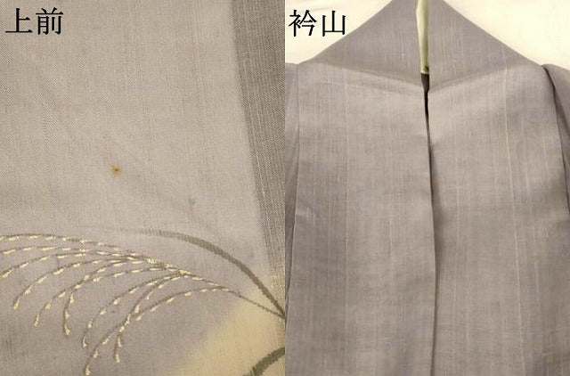 平和屋着物＊夏物　訪問着　紗紬　手描き　道長花文　銀彩　ロング丈　正絹　逸品　AABL7977jd