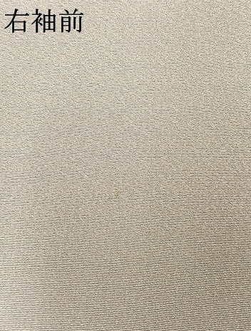 平和屋着物●訪問着　友禅　作家物　雪輪花文　暈し染め　正絹　逸品　AABL8101fy