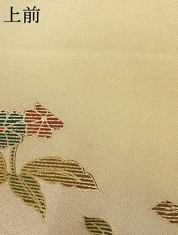 平和屋着物●訪問着　舞蝶花鳥文　暈し染め　金彩　正絹　逸品　AABL8115fy