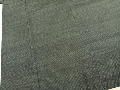 平和屋着物●男性　本場大島紬　アンサンブル　100亀甲　総詰め　正絹　逸品　AABL8133fy