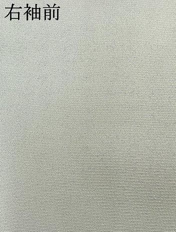 平和屋着物●訪問着　枝花文　暈し染め　金彩　正絹　逸品　AABL8247fy