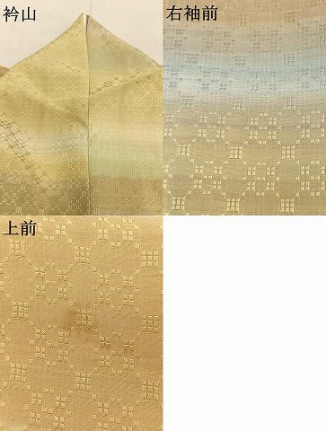 平和屋着物●楽心庵　小紋　花織　横段文　暈し染め　ロング丈　正絹　逸品　AABL8252fy
