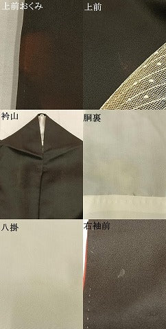 平和屋着物●染色作家　青木龍雲　訪問着　孔雀　暈し染め　黒地　金彩　正絹　逸品　AABL8489fy