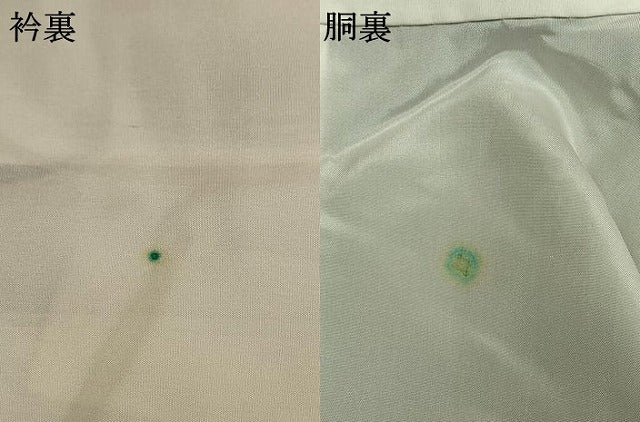平和屋着物●上質な紬　草花間道　正絹　逸品　未使用　AABL8535fy
