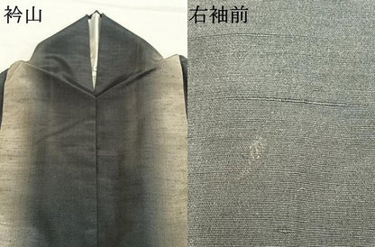 平和屋着物●上質な紬　間道　正絹　逸品　AABL8573fy