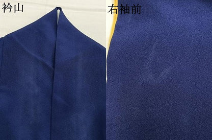平和屋着物●小振袖　二尺袖　舞桜文　暈し染め　AABL8596fy