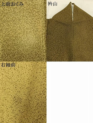 平和屋着物●染色の魔術師　染乃座・大久保玄才　そめのざ玄才　小紋　霞文　正絹　逸品　AABL8747fy