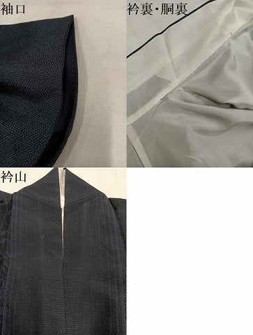 平和屋着物●本塩沢　草花間道　正絹　逸品　AABL8766ph