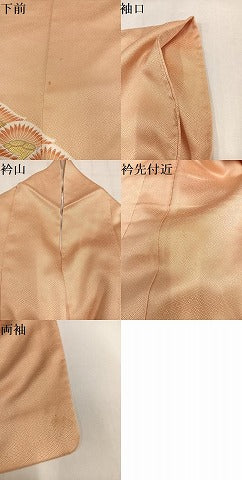 平和屋着物●豪華色留袖　刺繍　松　金彩　正絹　逸品　AABL8786ph