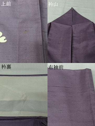 平和屋着物▽本加賀友禅作家　成竹登茂男　訪問着　白山紬　単衣　枝花文　正絹　逸品　AABL9108jh