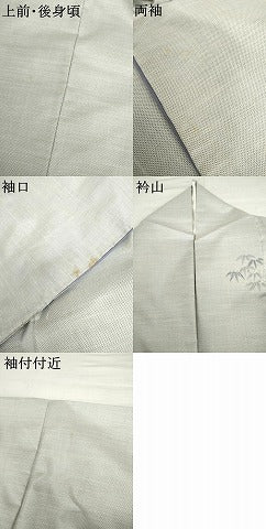 平和屋着物●白泥染の第一人者・絣の魔術師 恵積五郎 本場大島紬 恵大島織物謹製 訪問着 白大島 竹の息吹 証紙付き 正絹 逸品 AABM0134cs
