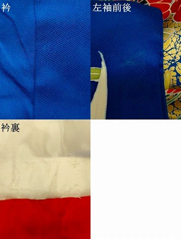 平和屋本店●錦翔　お引きずり・お引き摺り・引き振袖　和装　結婚式　舞妓　芸妓　芸者　衣装　草花文　金彩　逸品　AABM0865fw