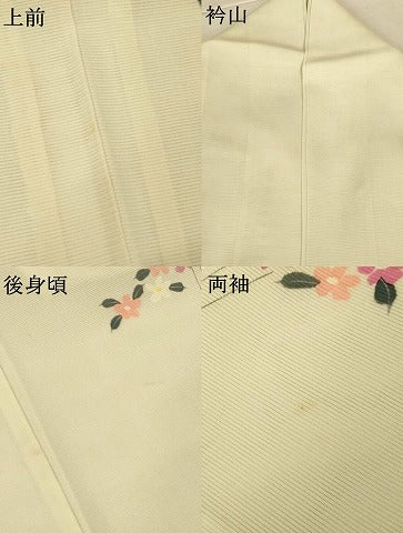 平和屋着物＊夏物　訪問着　絽　手描き　草花文　正絹　逸品　AABM1030jd