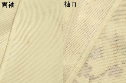 平和屋着物＊夏物　訪問着　絽　束ね熨斗花文　洗える着物　AABM1036jd