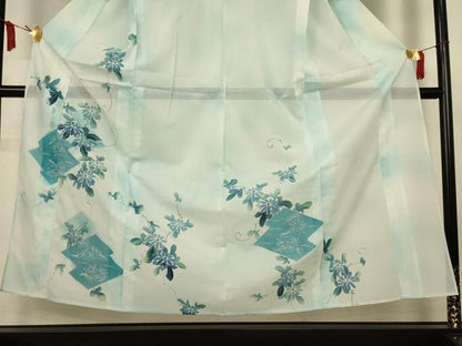 平和屋着物＊夏物　訪問着　絽　草花文　暈し染め　銀彩　洗える着物　AABM1085jd