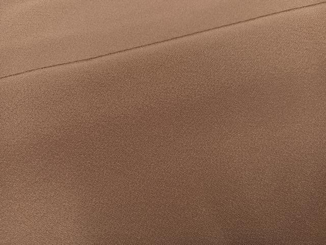 平和屋着物●上質な色無地　宗伝唐茶色　背抜き仕立て　正絹　逸品　AABM1122ph
