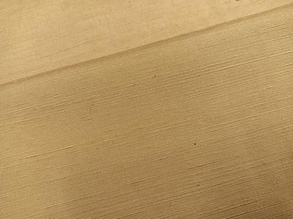 平和屋着物●上質な紬　色無地　枯色　正絹　逸品　AABM1260ph