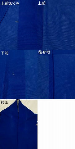 平和屋着物＊夏物　訪問着　絽　草花文　正絹　逸品　AABM1566st