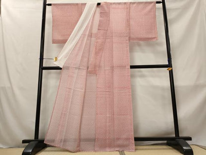 平和屋着物＊夏物　小紋　絽　麻の葉文様　正絹　逸品　AABM1584st