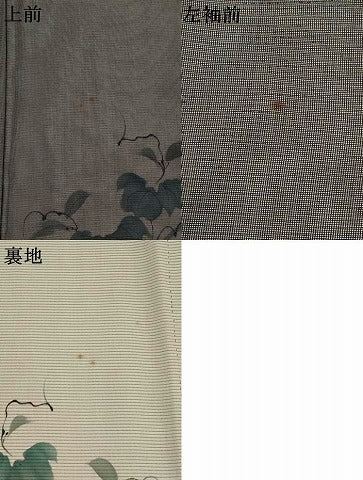 平和屋着物▽訪問着　無双　紗袷　紗×絽　葡萄蔦の葉文　金彩　正絹　逸品　AABM1764st