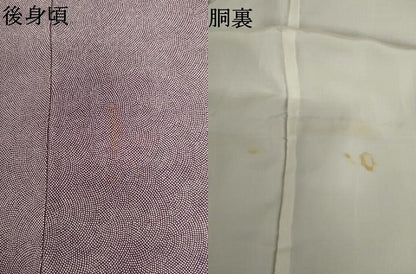 平和屋着物●江戸小紋　鮫小紋柄　正絹　逸品　AABM2088cs
