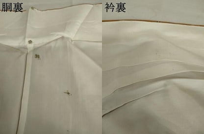 平和屋着物●本場琉球絣　紬　琉球絣文様　証紙付き　正絹　逸品　AABM2153cs