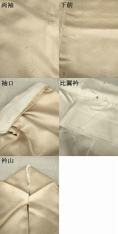 平和屋着物●豪華色留袖　流水枝梅文　金彩　正絹　逸品　AABM2402ck