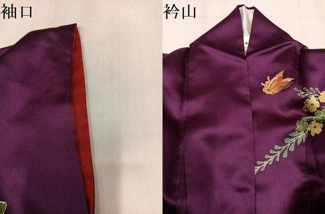 平和屋着物●豪華振袖　花蝶文　暈し染め　金彩　正絹　逸品　AABM2564ph
