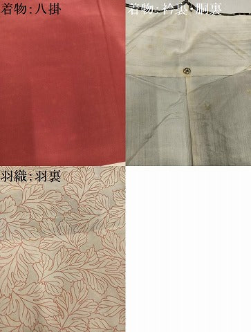 平和屋着物●本場大島紬　龍郷絣　秋名バラ　アンサンブル　正絹　逸品　AABM2615ph