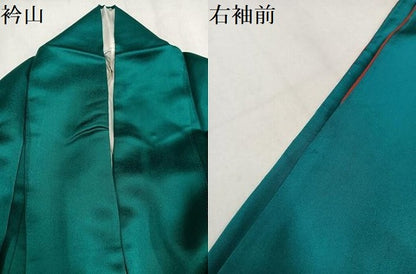 平和屋着物●豪華振袖　花蝶文　暈し染め　金彩　正絹　逸品　AABM2679ph