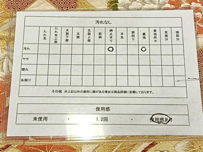 平和屋着物◎六通柄袋帯　唐織　花天井文　金銀糸　正絹　逸品　AABM2734bw