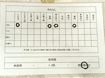 平和屋着物◎六通柄袋帯　唐織　孔雀羽文　金銀糸　正絹　逸品　AABM3097dk