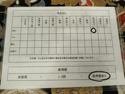 平和屋着物◎六通柄　本袋帯　唐織　草花文　黒地　金糸　正絹　逸品　AABM3158od