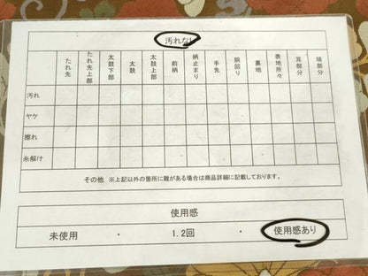 平和屋着物◎西陣　野々村織物謹製　六通柄袋帯　枝花文　永楽　正絹　逸品　AABM3230od