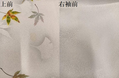 平和屋着物●訪問着　作家物　螺鈿　伝創座　舞葉文　丹後ちりめん　反端付き　正絹　逸品　AABM3284ph