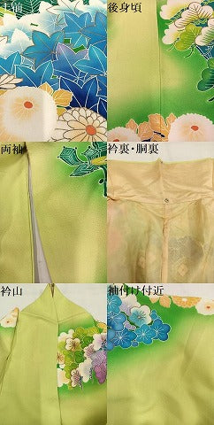 平和屋着物●豪華振袖　駒刺繍　草花宝尽くし　暈し染め　金彩　正絹　逸品　AABM3385ph