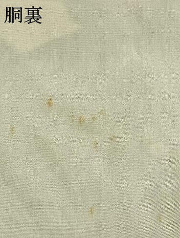 平和屋着物●染織の名門　しょうざん  生紬　訪問着　草花文　正絹　逸品　AABM3807fy