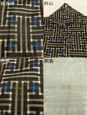 平和屋着物●本場大島紬　龍郷絣　秋名バラ　正絹　逸品　AABM3870fy