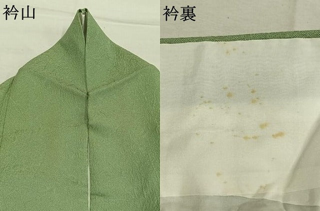 平和屋着物●江戸小紋　作家物　草木染　倭志織　鮫小紋柄　やまと誂製　証紙付き　正絹　逸品　AABM3967fy