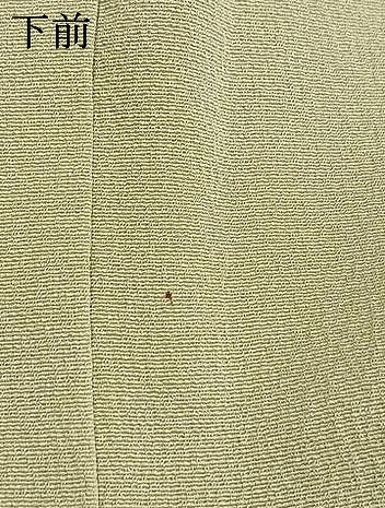 平和屋着物●訪問着　駒刺繍　舞葉文　金銀彩　正絹　逸品　AABM3979fy