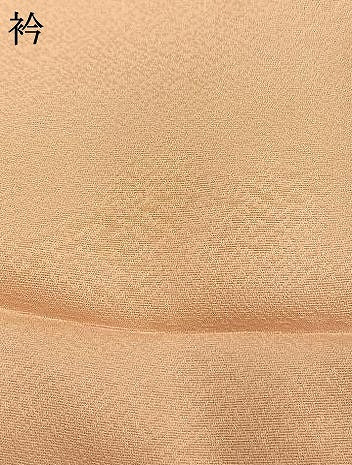 平和屋着物●中国三大刺繍　相良刺繍　訪問着　枝梅花文　暈し染め　金糸　金彩　正絹　逸品　AABM4101fy