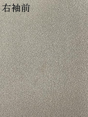 平和屋着物●ファッションデザイナー 花井幸子　訪問着　駒刺繍　飛鳥松文　暈し染め　金糸　金彩　正絹　逸品　AABM4128fy